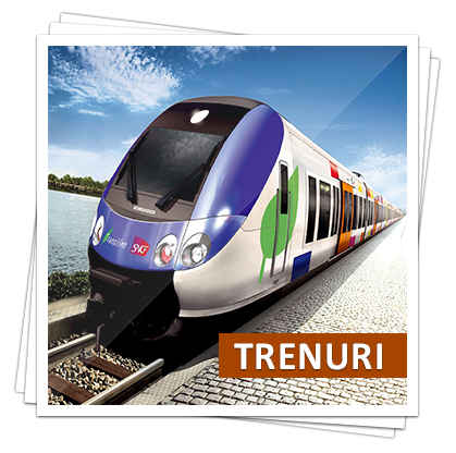 Trenuri